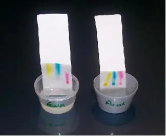 Cromatografia líquida e gasosa